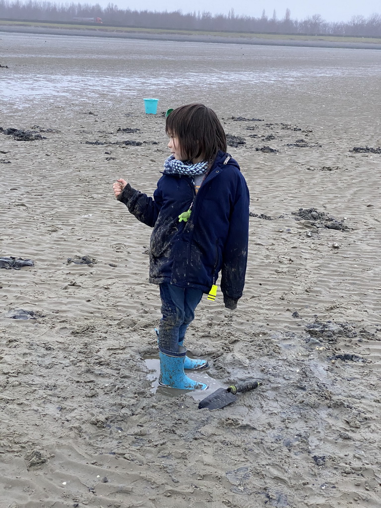 Max looking for seashells at the south side of the Grevelingendam