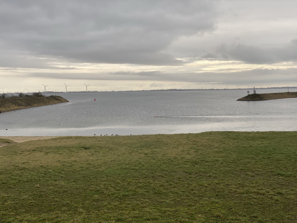 The Werkhaven beach