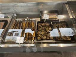 Fishes and seashells at the Mossenhandel Bout store at the Werkhaven harbour
