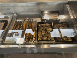 bruinisse_12_086 - 319 kb - 1024x768 - Fishes and seashells at the Mossenhandel Bout store at the Werkhaven harbour Fishes and seashells at the Mossenhandel Bout store at the Werkhaven harbour