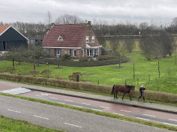 bruinisse_12_088 - 382 kb - 1024x768 - Horse at the Hageweg street, viewed from the dyke Horse at the Hageweg street, viewed from the dyke