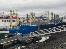 Boats in the Harbour of Bruinisse