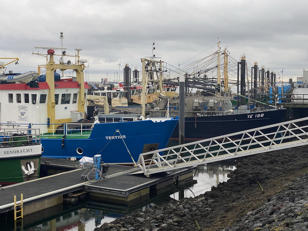 Boats in the Harbour of Bruinisse