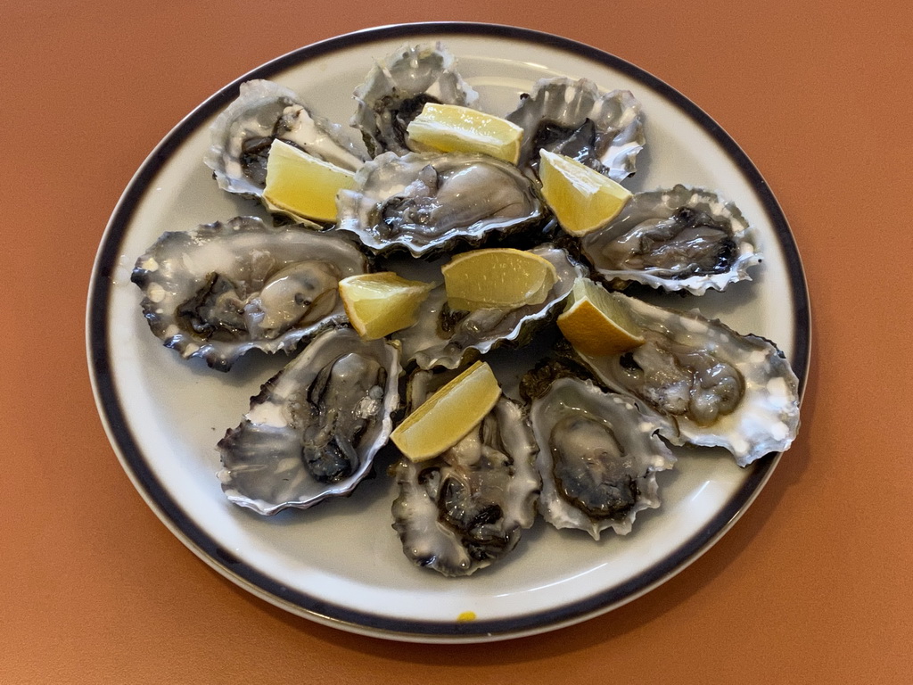 Oysters for dinner in the living room at the upper floor of our apartment at Holiday Park AquaDelta