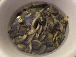 Bucket with seashells in the kitchen at the upper floor of our apartment at Holiday Park AquaDelta