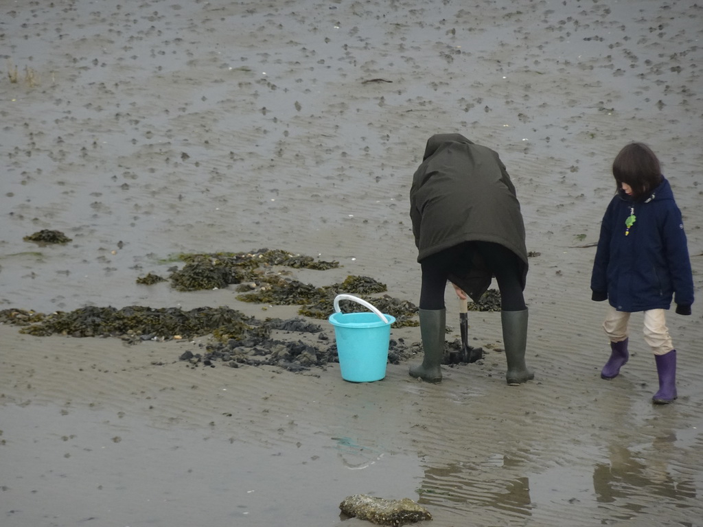 Miaomiao and Max looking for seashells at the beach at the south side of the Grevelingendam