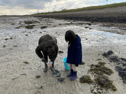 Miaomiao and Max looking for seashells at the beach at the south side of the Grevelingendam