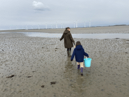 Miaomiao and Max looking for seashells at the beach at the south side of the Grevelingendam, and windmills at the Krammersluizen sluices