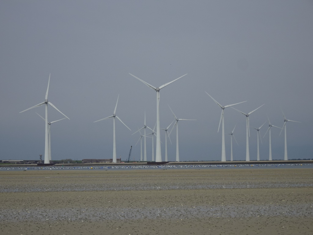 The beach at the south side of the Grevelingendam and windmills at the Krammersluizen sluices