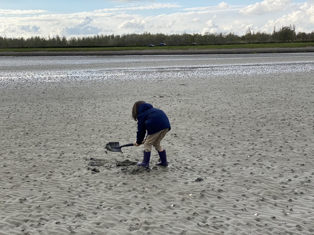 Max looking for seashells at the beach at the south side of the Grevelingendam