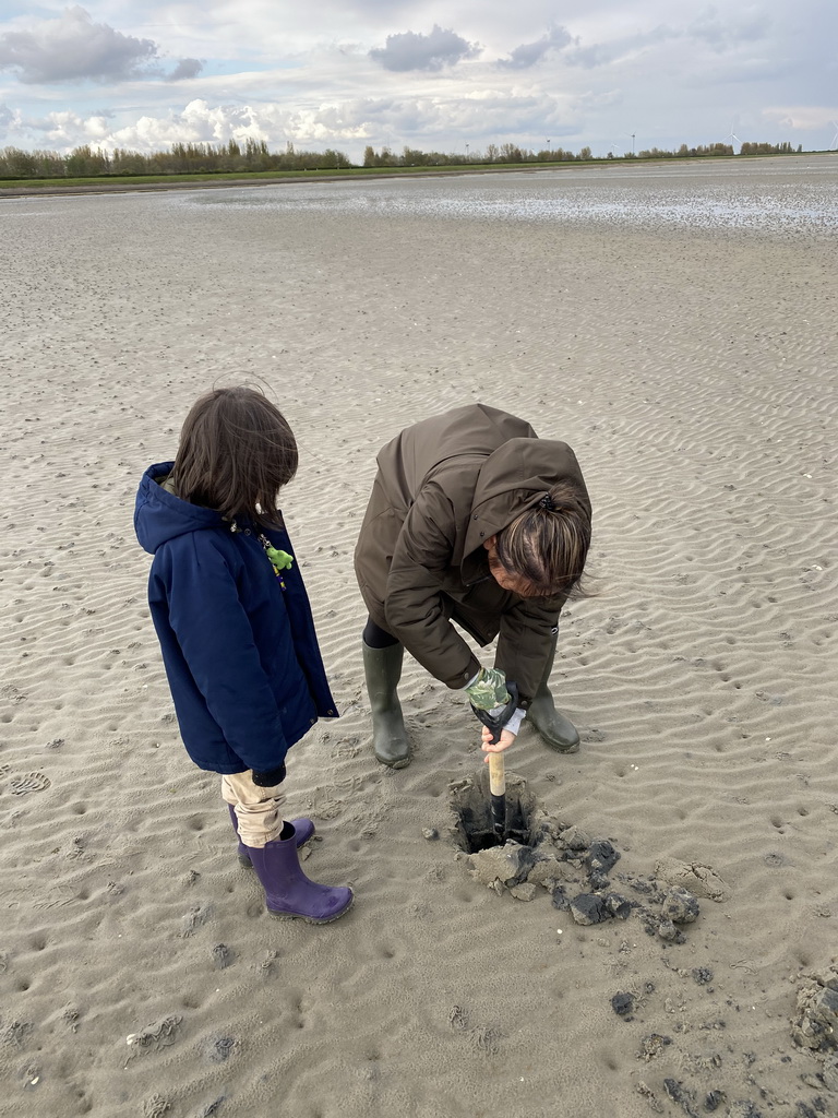 Miaomiao and Max looking for seashells at the beach at the south side of the Grevelingendam