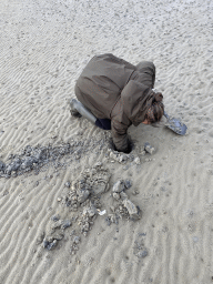 Miaomiao looking for seashells at the beach at the south side of the Grevelingendam