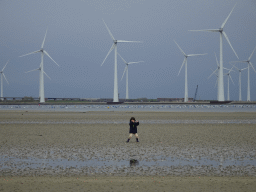 Max at the beach at the south side of the Grevelingendam, the Krammer lake and windmills at the Krammersluizen sluices