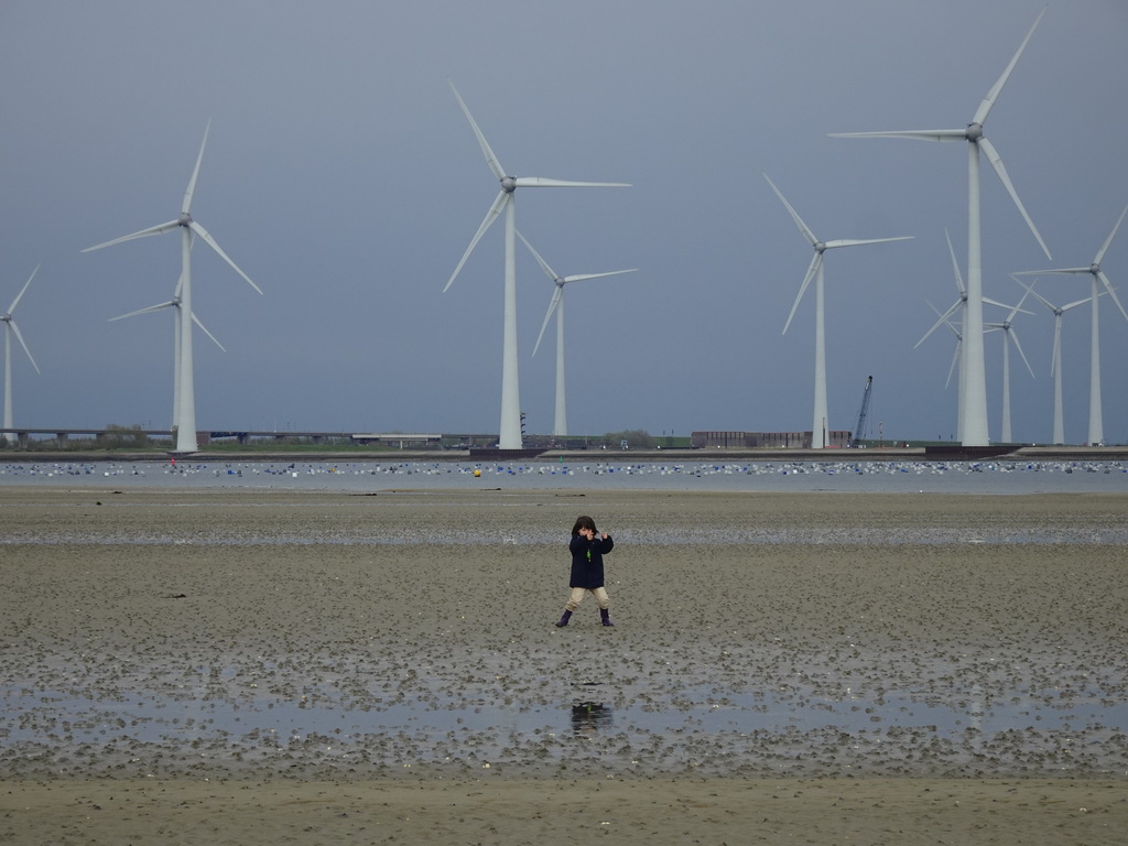 Max at the beach at the south side of the Grevelingendam, the Krammer lake and windmills at the Krammersluizen sluices