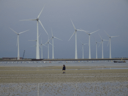 Max at the beach at the south side of the Grevelingendam, the Krammer lake and windmills at the Krammersluizen sluices