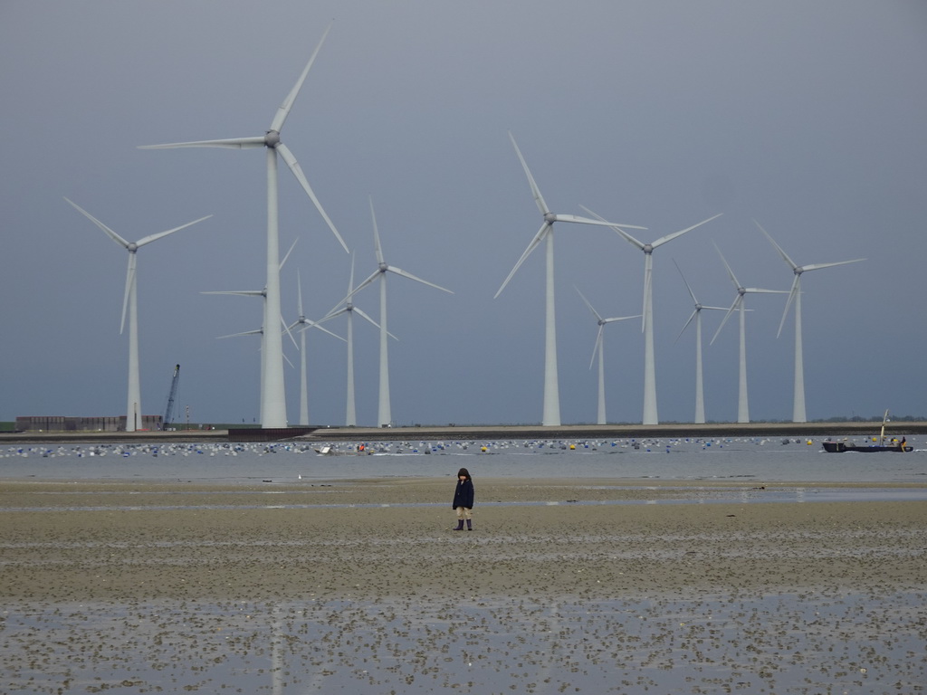 Max at the beach at the south side of the Grevelingendam, the Krammer lake and windmills at the Krammersluizen sluices