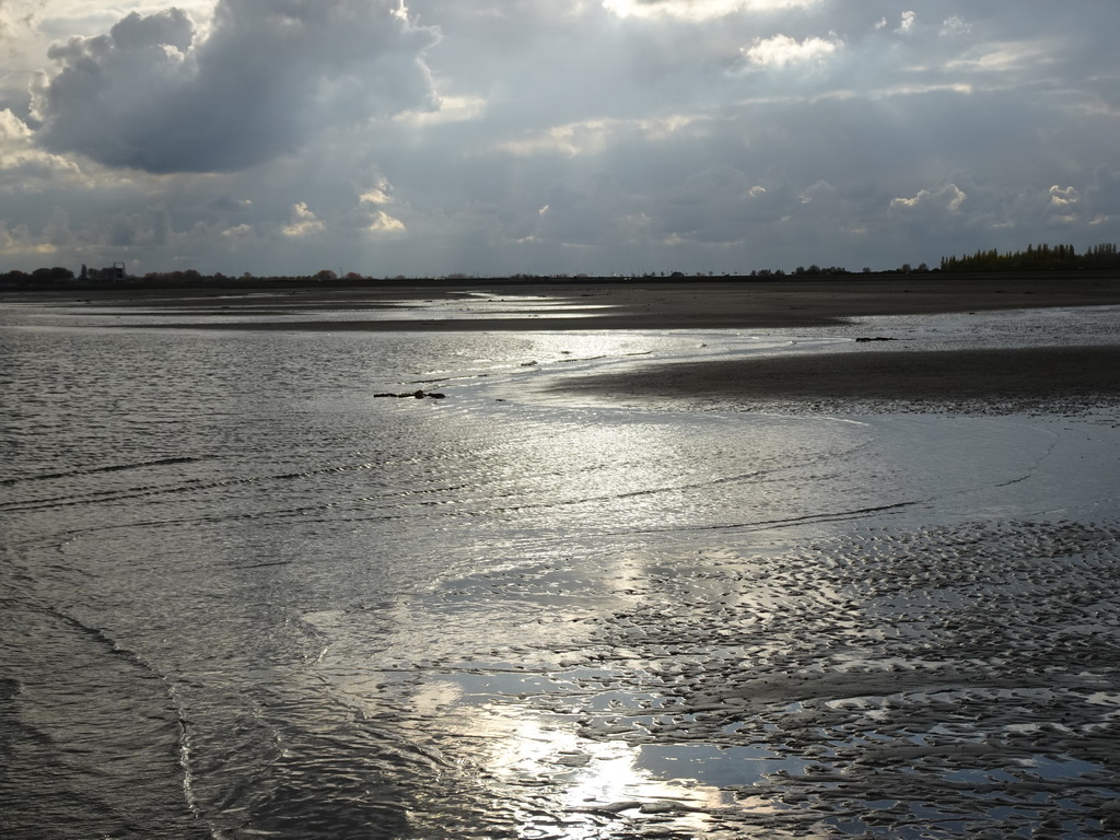 The beach at the south side of the Grevelingendam