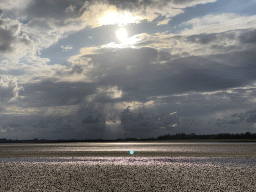 The beach at the south side of the Grevelingendam