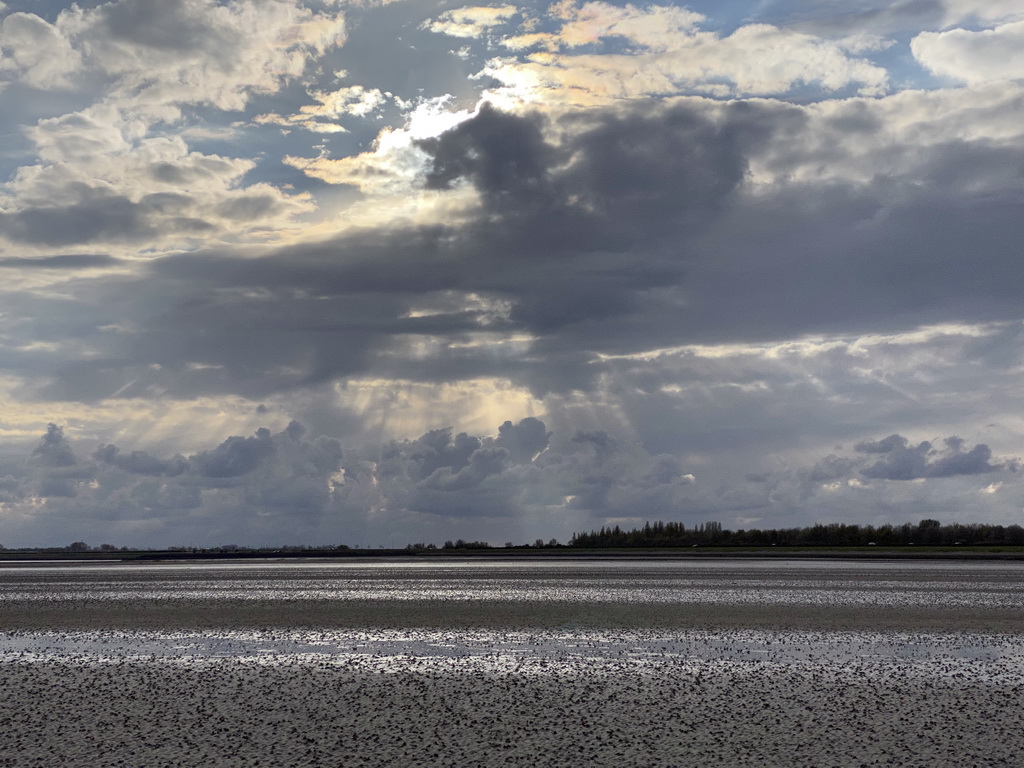 The beach at the south side of the Grevelingendam