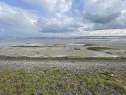 Beach with protected grass at the southeast side of the Grevelingendam