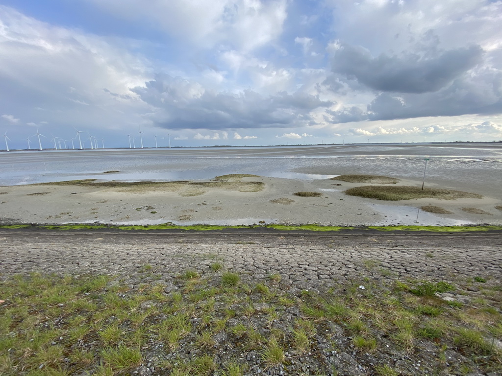 Beach with protected grass at the southeast side of the Grevelingendam