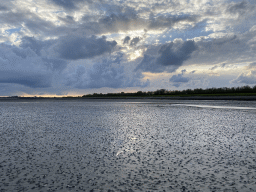 The beach at the south side of the Grevelingendam