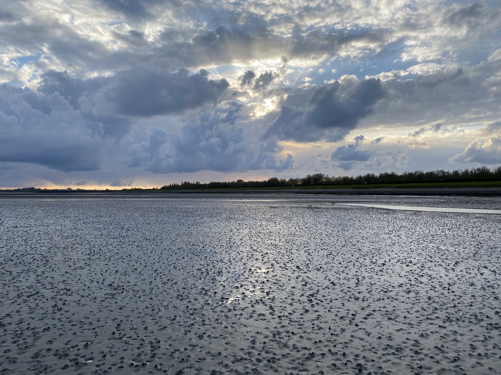 The beach at the south side of the Grevelingendam