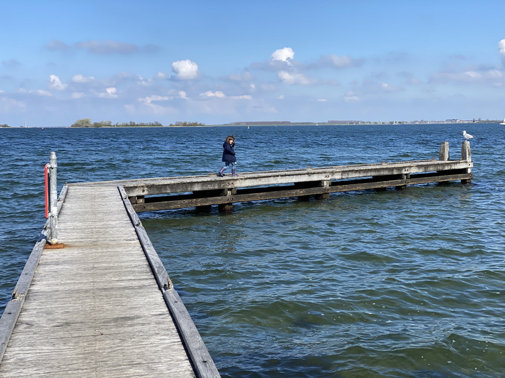 Max and a seagull at the pier at the northwest side of the Grevelingendam