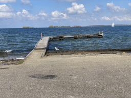 Pier and seagull at the northwest side of the Grevelingendam