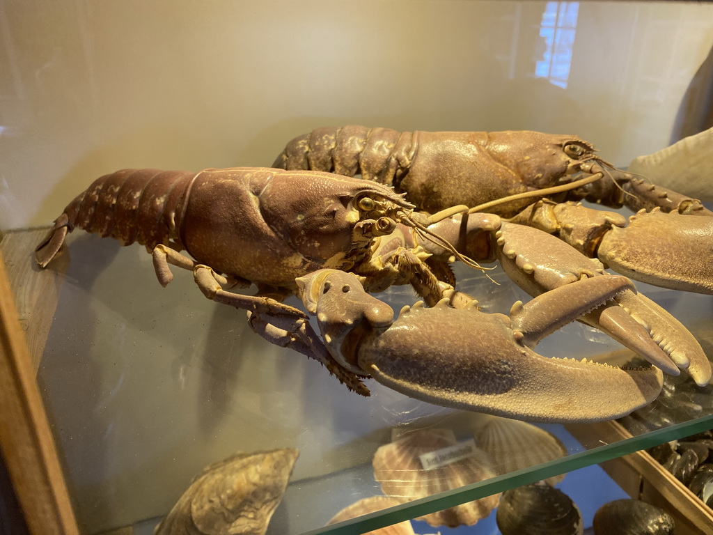 Stuffed Lobsters at the Bru 17 restaurant