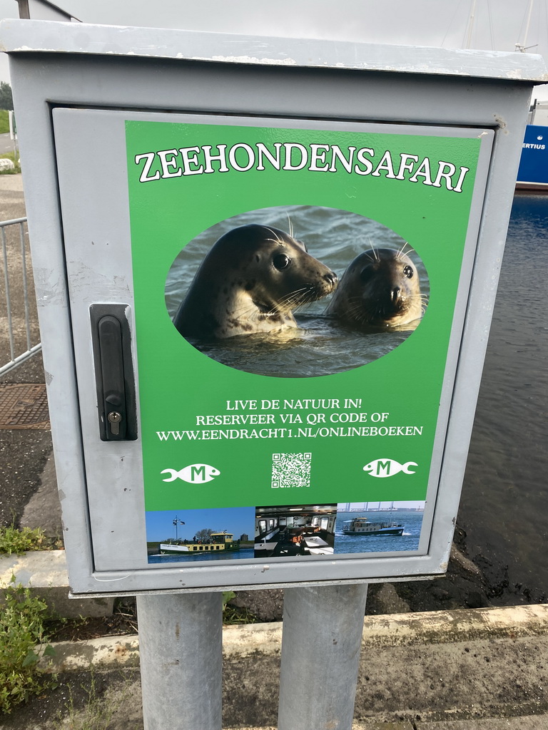 Information on the Seal Safari at the Harbour of Bruinisse