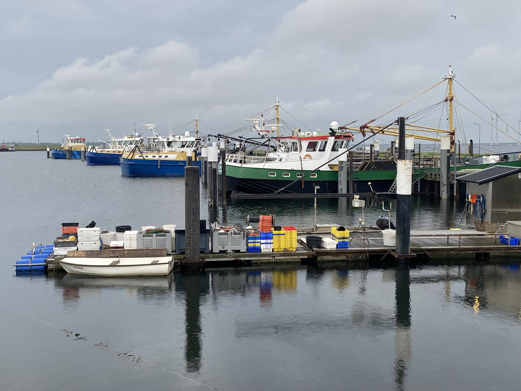 Boats at the Vluchthaven harbour