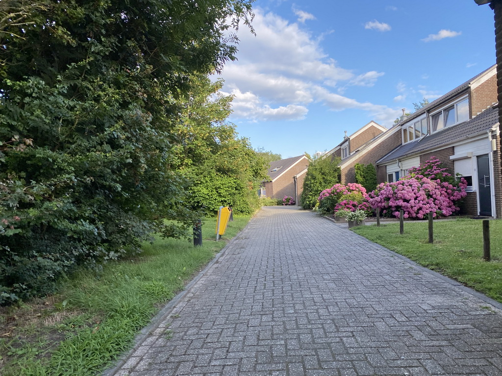 Holiday homes at the Kreek op Aquadelta holiday park