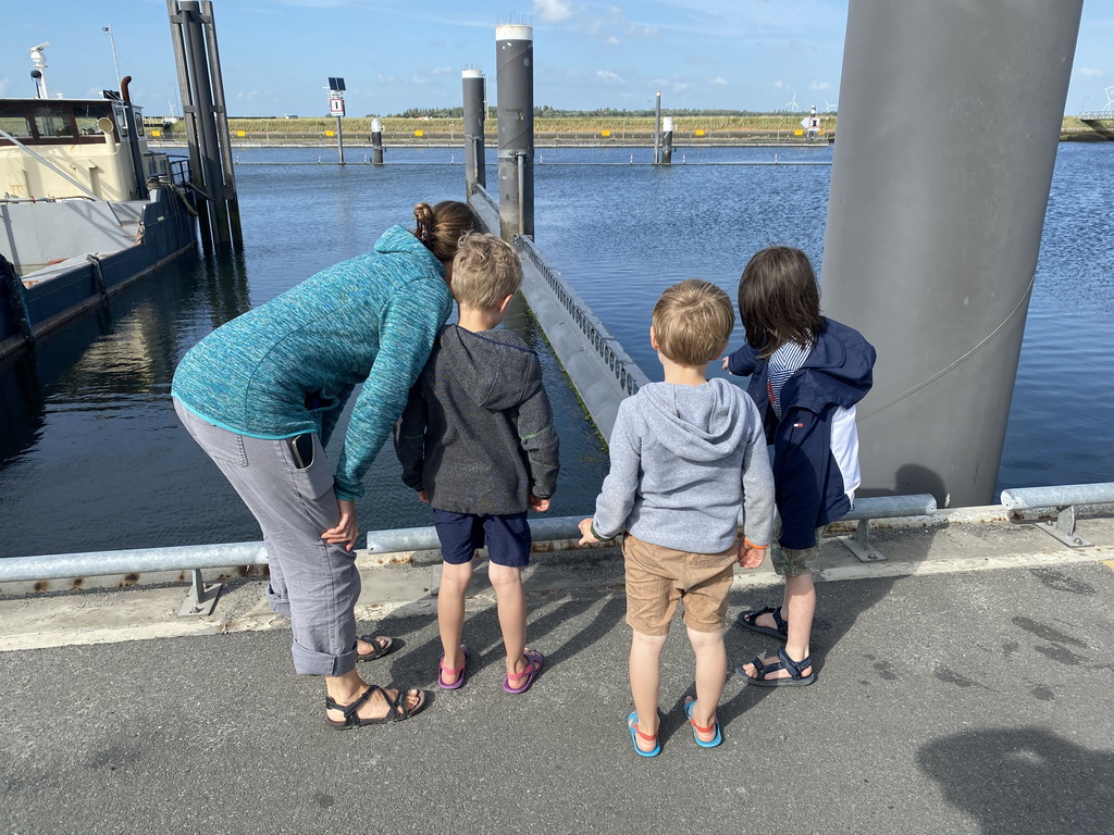 Max and his friends looking at fish in the Harbour of Bruinisse