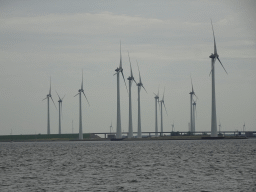 Windmills at the Krammersluizen sluices, viewed from the Seal Safari boat on the Krammer lake