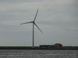 Windmill and the Duikplaats Anna-Jacobapolder at Tholen, viewed from the Seal Safari boat on the Zijpe estuary