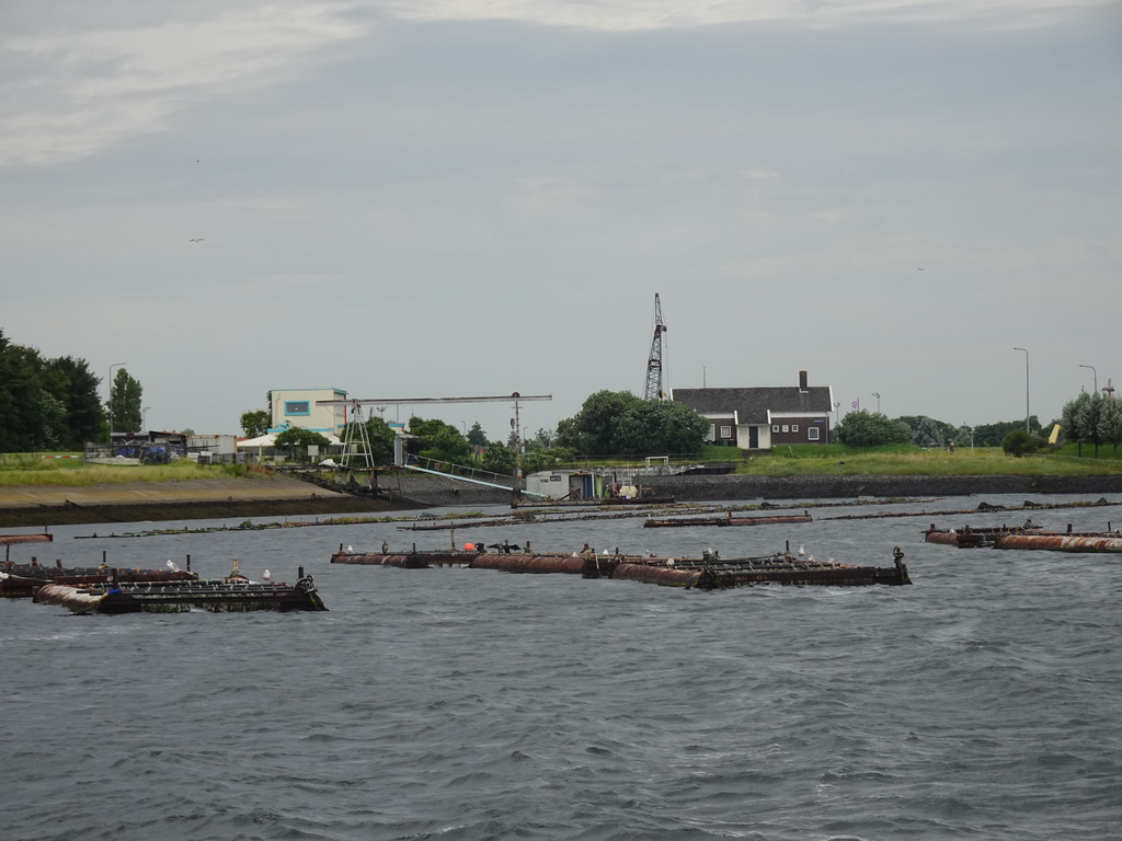 The Vluchthaven harbour, viewed from the Seal Safari boat on the Zijpe estuary