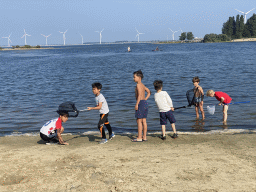 Max and his friends catching jellyfish and crabs on a beach at the north side of the Grevelingendam