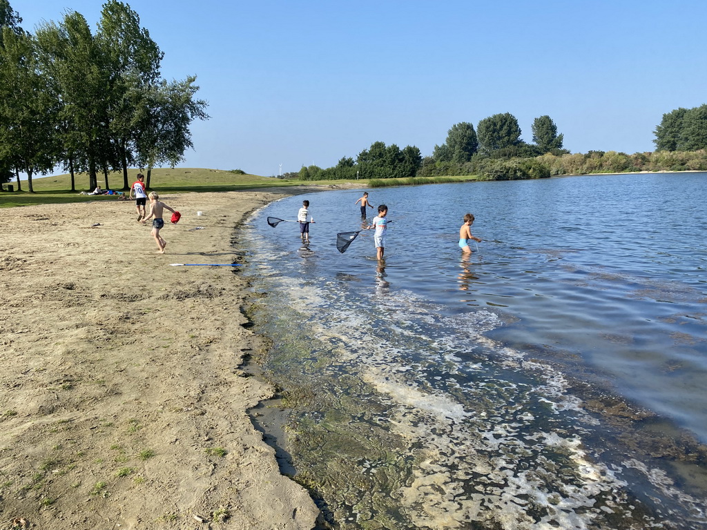 Max and his friends catching jellyfish and crabs on a beach at the north side of the Grevelingendam