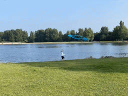 Max flying a kite on a beach at the north side of the Grevelingendam