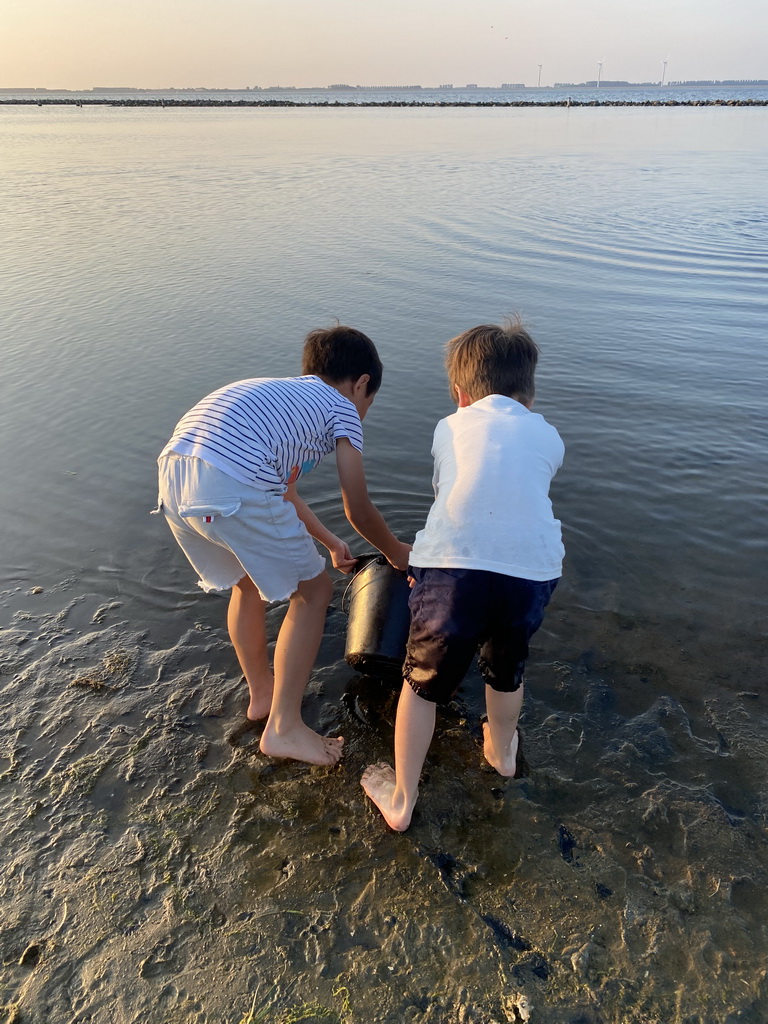 Max and his friend releasing fishes on a beach at the north side of the Grevelingendam