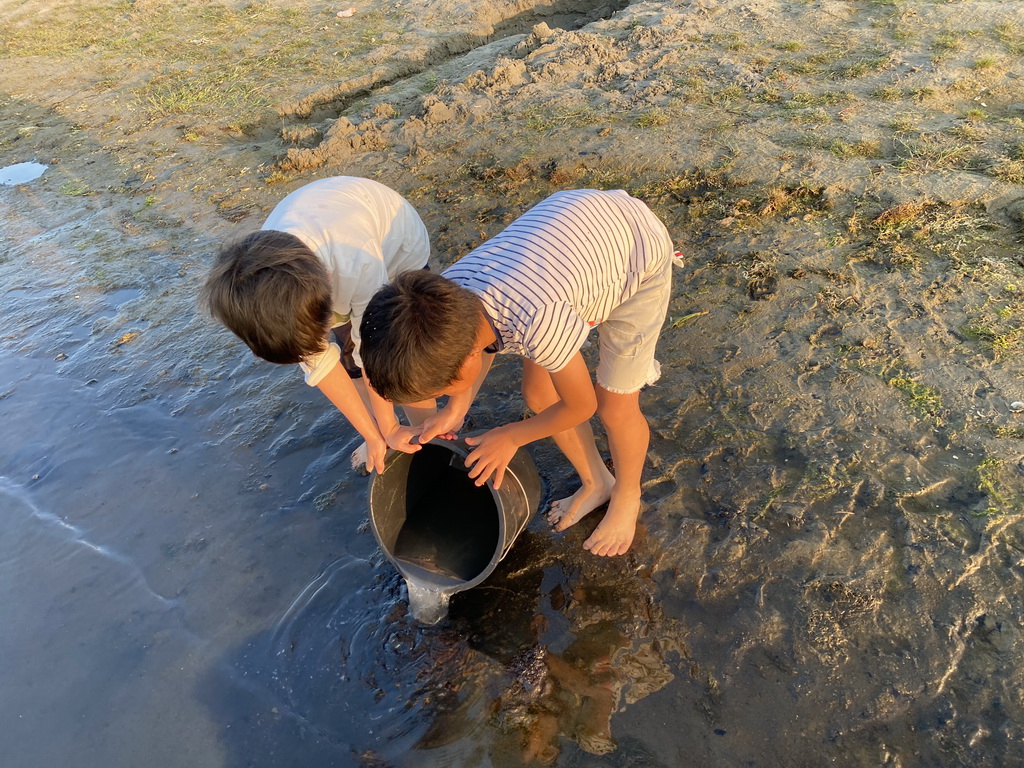 Max and his friend releasing fishes on a beach at the north side of the Grevelingendam