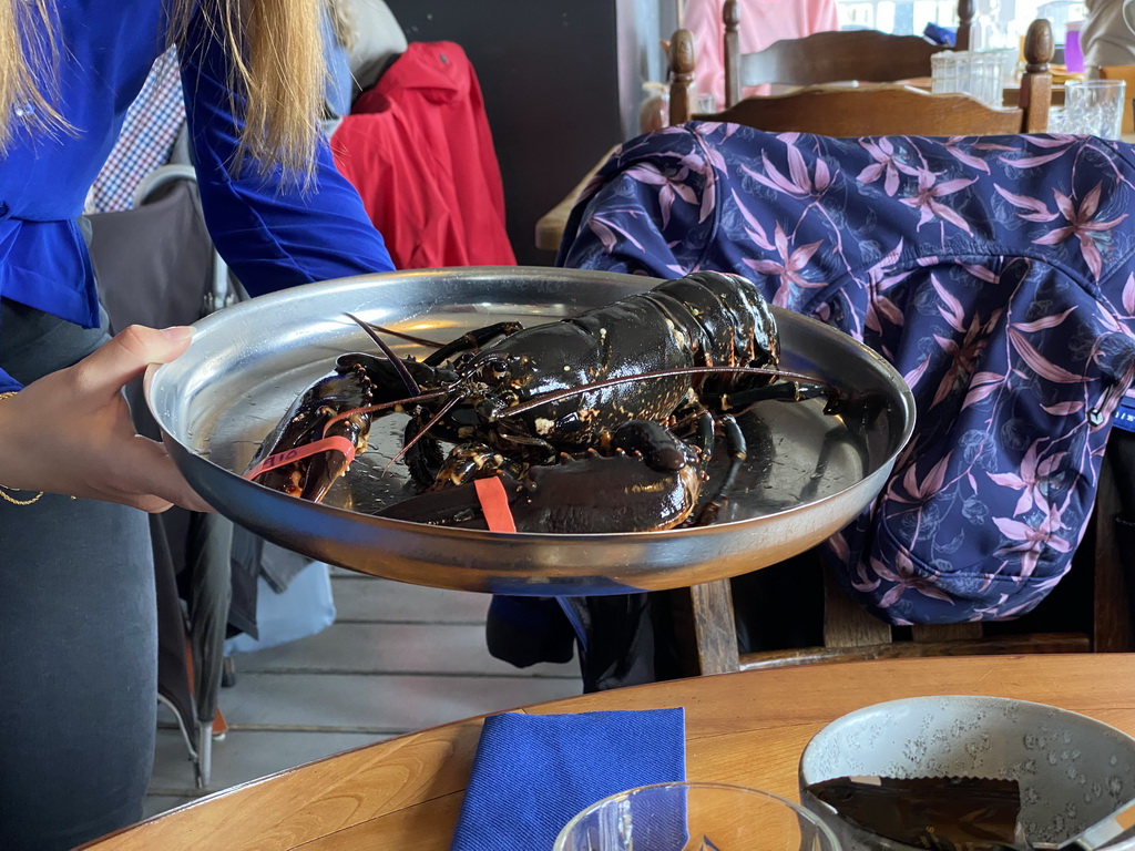 Lobster at the Bru 17 restaurant