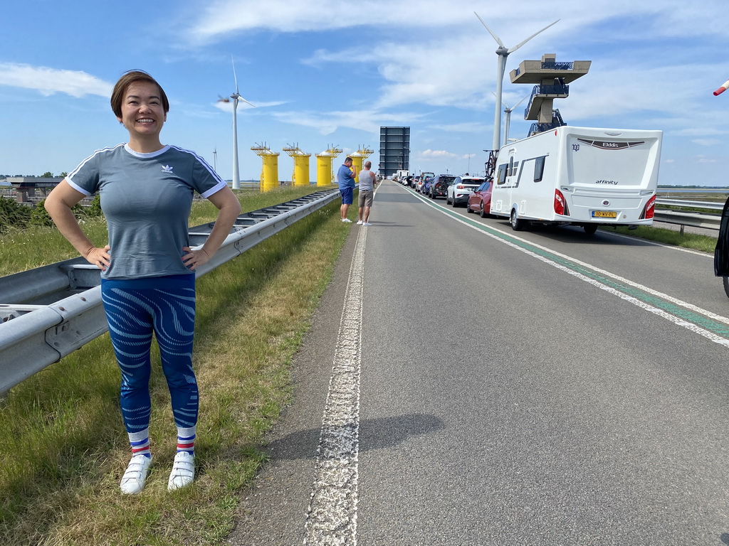 Miaomiao at the N257 road, with a view on the Krammersluizen sluices