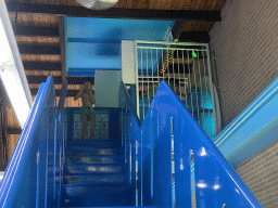 Max on the staircase to the slide at the large pool at the swimming pool at Holiday Park AquaDelta