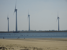 People looking for seashells at the beach at the south side of the Grevelingendam, the Krammer lake and windmills at the Krammersluizen sluices, viewed from the playground of Restaurant Grevelingen