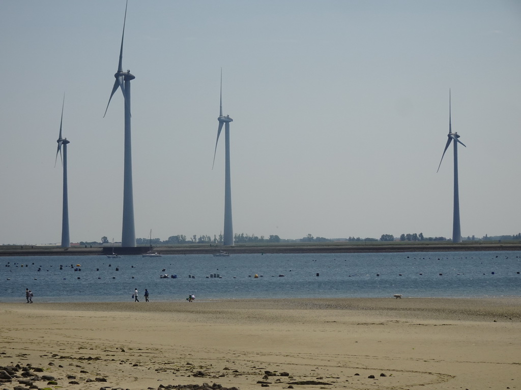 People looking for seashells at the beach at the south side of the Grevelingendam, the Krammer lake and windmills at the Krammersluizen sluices, viewed from the playground of Restaurant Grevelingen