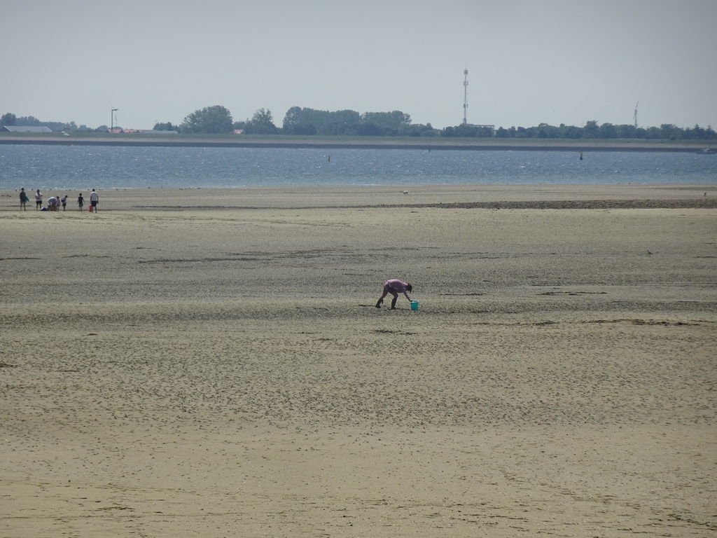 Miaomiao looking for seashells at the beach at the south side of the Grevelingendam and the Krammer lake