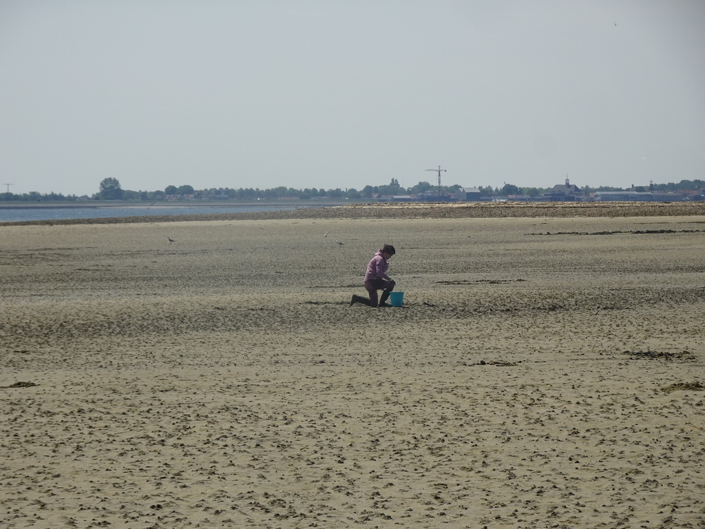 Miaomiao looking for seashells at the beach at the south side of the Grevelingendam