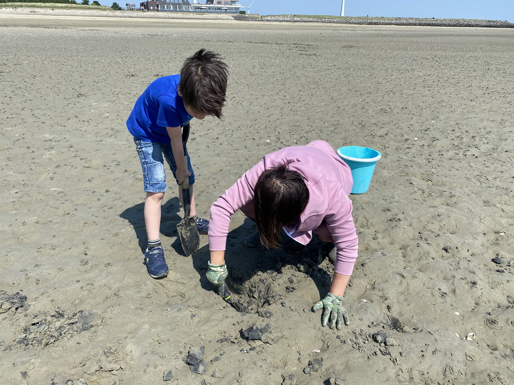 Miaomiao and Max looking for seashells at the beach at the south side of the Grevelingendam